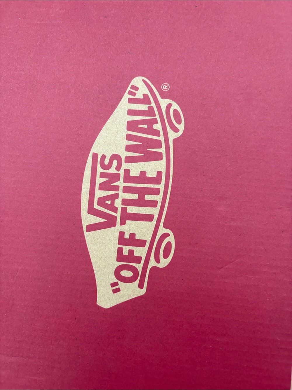 Vans Metallic Skate Logo Box - Pink and Gold